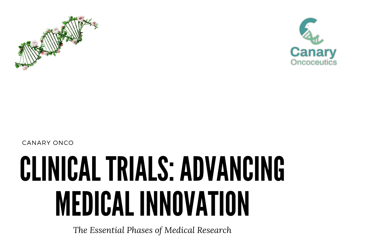 The Phases of Clinical Trials and Their Role in Advancing Medical Innovations