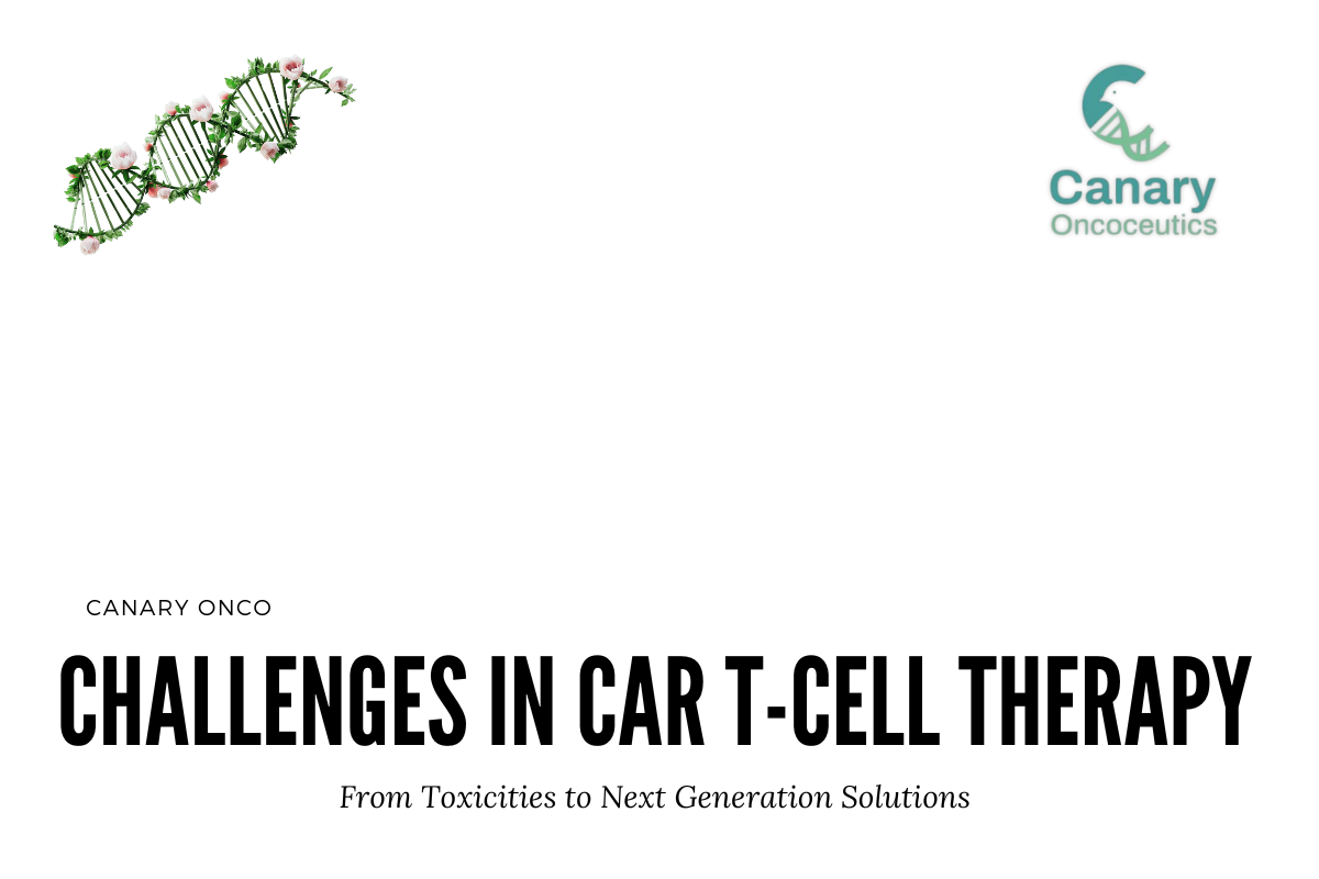 Challenges in CAR T-Cell Therapy