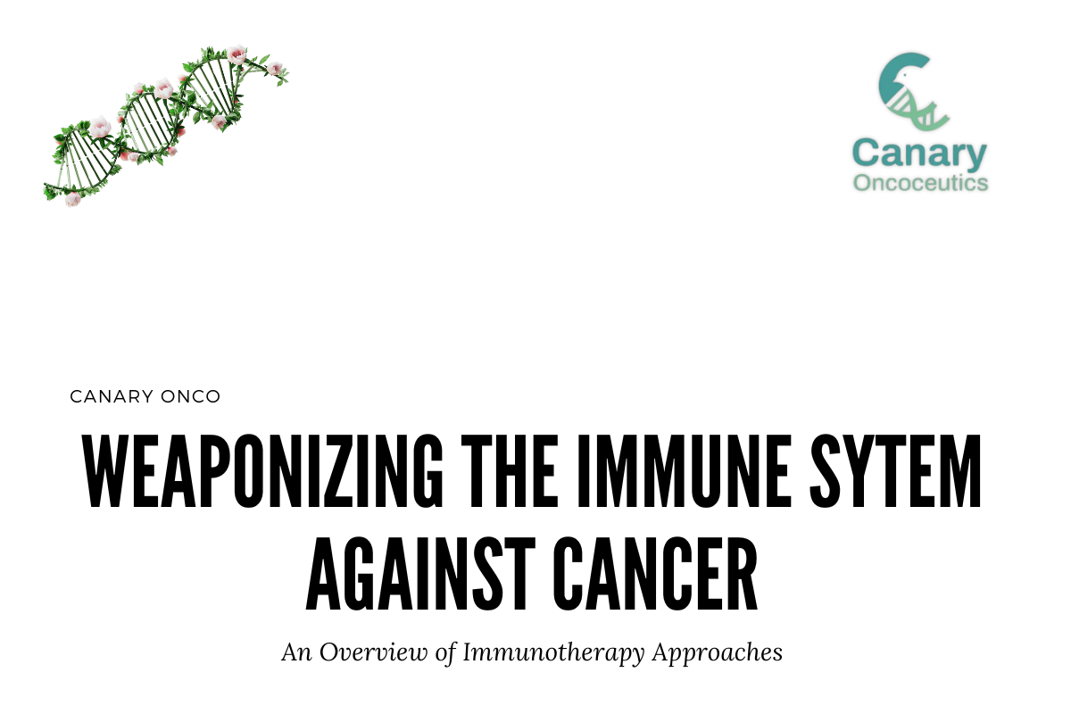 Weaponizing the Immune System Against Cancer