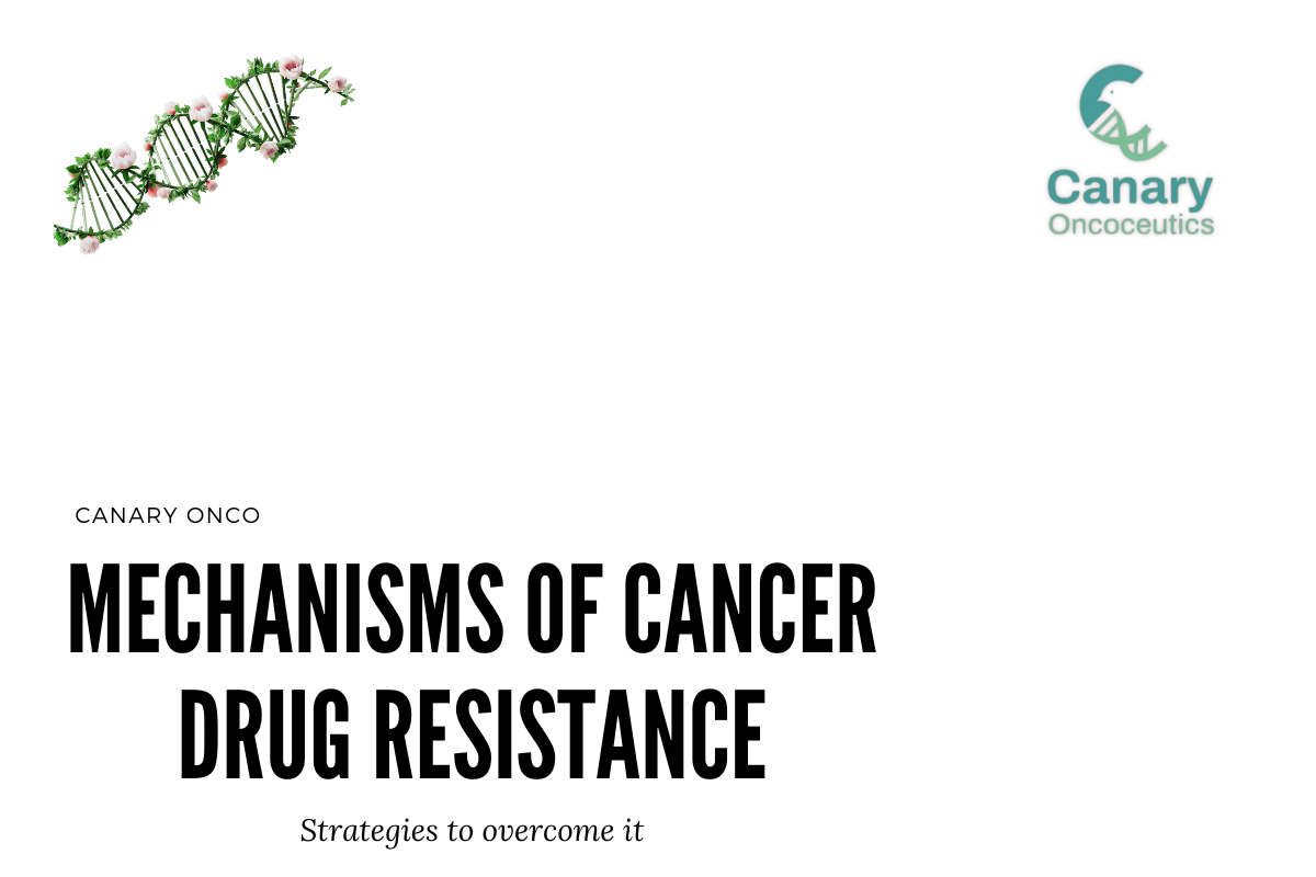 Mechanisms of Cancer Drug Resistance