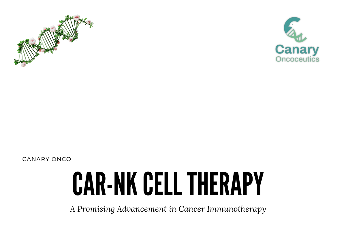 CAR-NK Cell Therapy: A Promising Future in Cancer Treatment