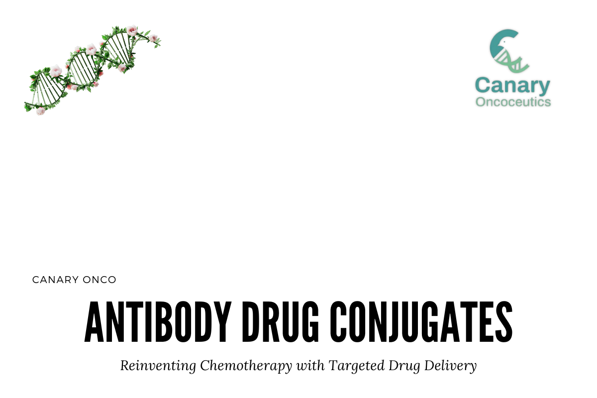 Antibody Drug Conjugates